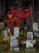 Takayama-Shorenji Cemetery 11-0940